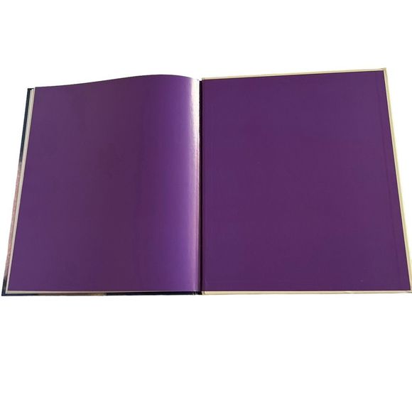 The Perfect Bear Hardback Picture Book By Gillian Shields & Gary Blythe - Picture 4 of 6